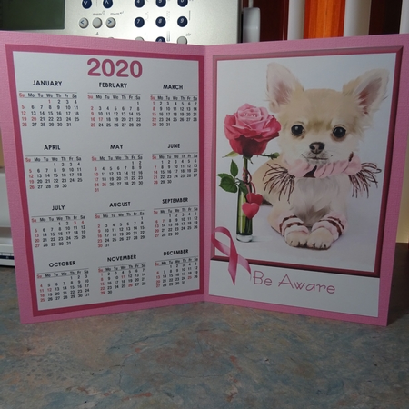 2020 Calendar -  Pink Be Aware by Jillian Bond