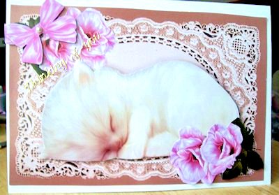 Cute Kitty Sleeping on Ecru Lace with Pink Roses by Jillian Liddle