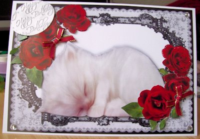 Kitten Sleeping in Lace Frame with Red Roses by Jillian Liddle