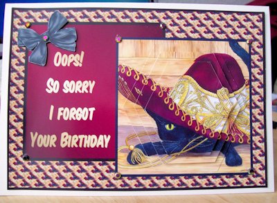 Oops - Forgot Your Birthday Cat in a Hat Qs by Jillian Liddle