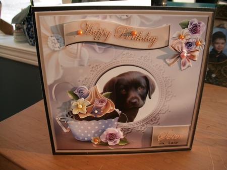 Gorgeous Labrador Topper for Various Occasions Featured Gallery Photo