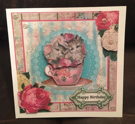 Tea Cup Cats by Jo Brindley