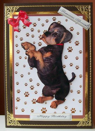 Cute Little Rotweiler Puppy by Joan Mary Smith