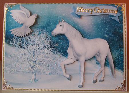 Beautiful White Horse & Dove by Joan Mary Smith