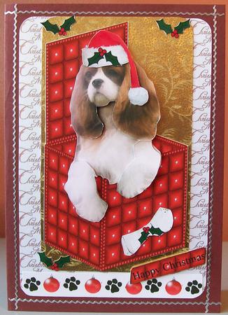 Cavalier King Charles Spaniel Christmas Box by Joan Mary Smith