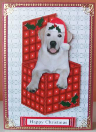 Golden Labrador Christmas Box by Joan Mary Smith