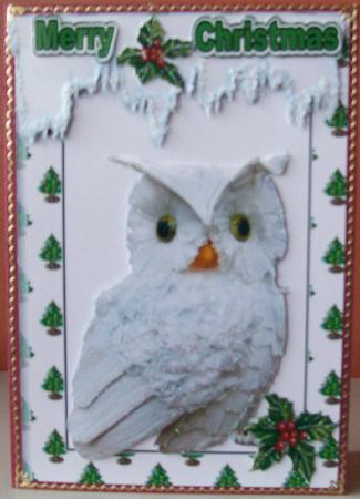 Little Snowy White Owl by Joan Mary Smith