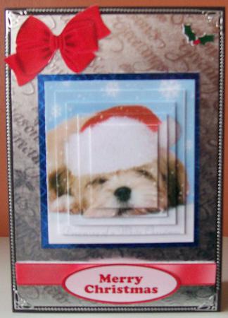 Little Terrier with Santa Hat On, Pyramids by Joan Mary Smith