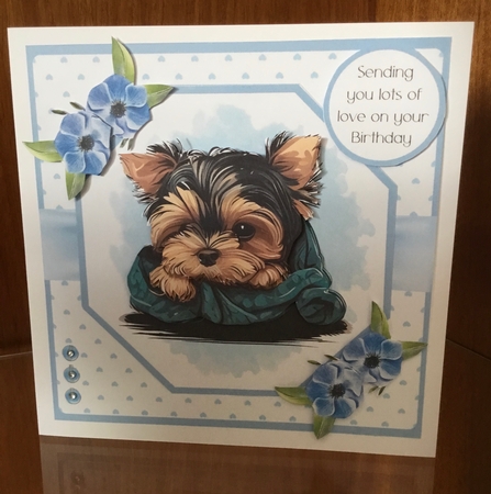 Cute Little Yorkie #2 by Joan Murfitt