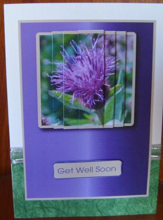 Thistle Flower by Joan Murfitt