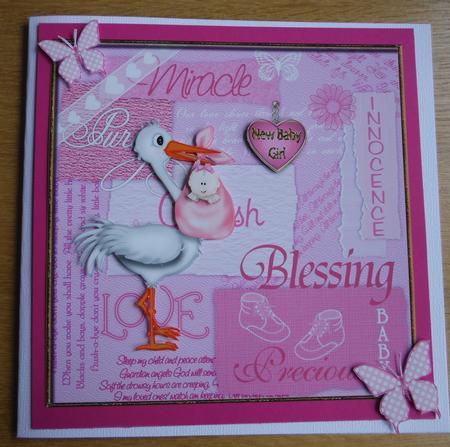 The Miracle That the Stork Brings by Joan Murfitt