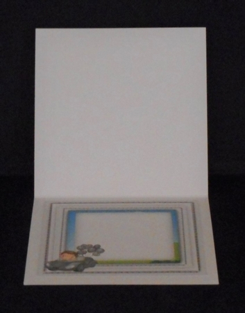 Birthday Boy Blank Insert  by Joan Prince