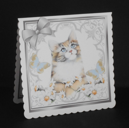 Pretty ornate silver scroll 8x8 card front/insert frame with kitten & daisies by Joan Prince