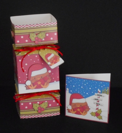 3D Large Christmas Cracker Box Mini Kit -  Bobbin Robin has an Xmas Cracker by Joan Prince