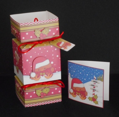 3D Large Christmas Cracker Box Mini Kit -  Bobbin Robin is Snowballing by Joan Prince