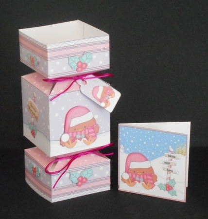 3D Large Christmas Cracker Box Mini Kit -  Bobbin Robin is Snowballing by Joan Prince