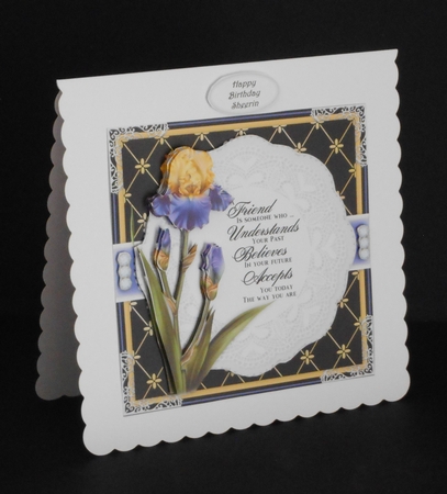 Friendship Iris Mini Card Kit by Joan Prince