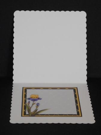 Friendship Iris Mini Card Kit by Joan Prince