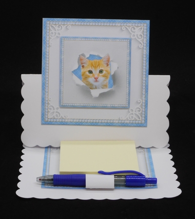 PEEKABOO CAT by Joan Prince