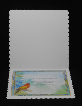 Parakeet Birthday Mini Kit by Joan Prince