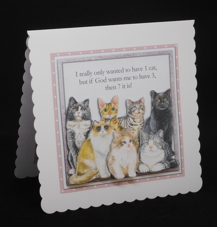 7 CATS by Joan Prince