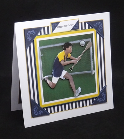 Hurling by Joan Prince