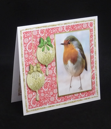 Red, Red Robin - 8x8 Mini Kit by Joan Prince