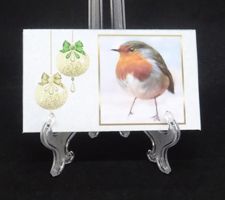 Red, Red Robin - Money Wallet by Joan Prince
