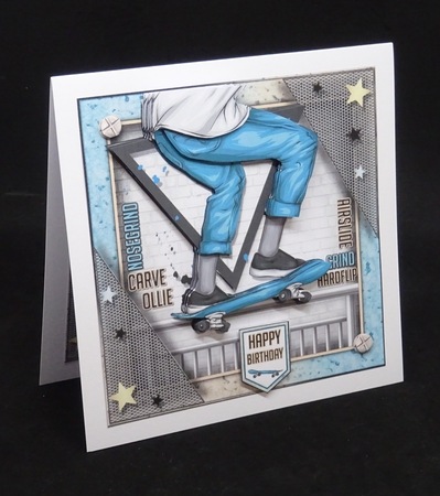 The Skateboarder by Joan Prince