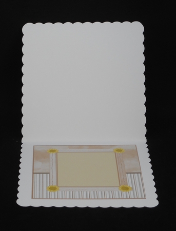 cooper insert by Joan Prince