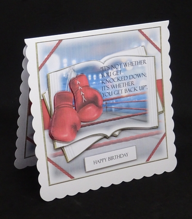 Boxing Open Book by Joan Prince