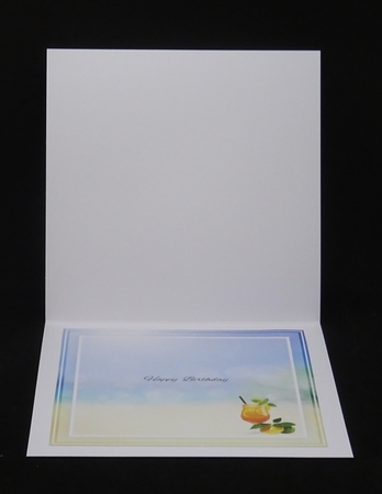 Tropical Cocktail 2 Mini Kit by Joan Prince
