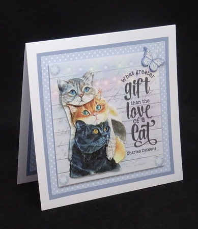 LOVE OF A CAT by Joan Prince