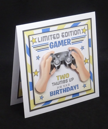 Limited Edition Gamer by Joan Prince