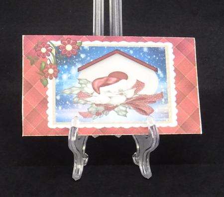 Christmas Bird House - Money Wallet by Joan Prince