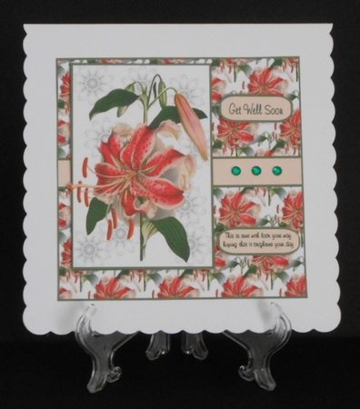 Floral Lily All Occasions by Joan Prince