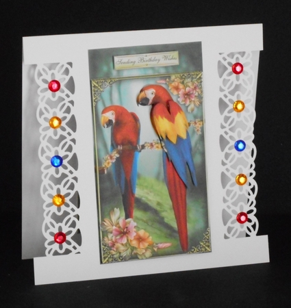 3 in 1 Parrots Paradise by Joan Prince