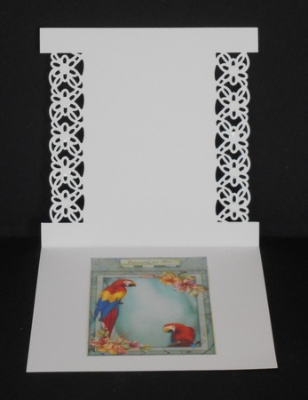 3 in 1 Parrots Paradise by Joan Prince
