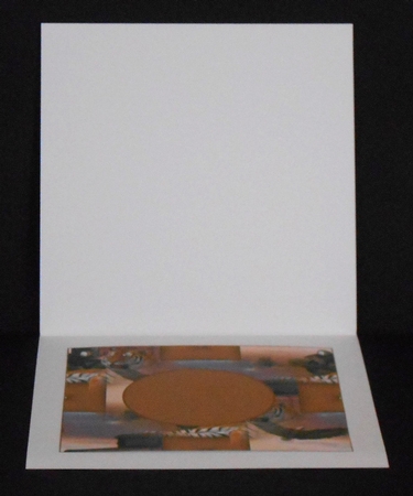 Tiger Insert by Joan Prince