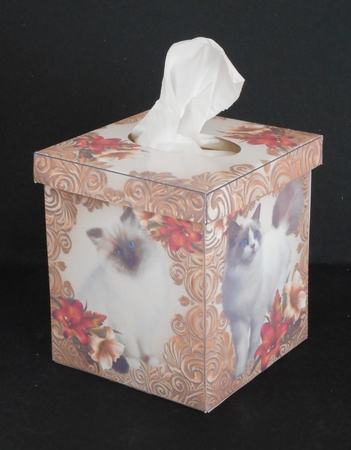 Rags & Lillies Tissue Box Cover by Joan Prince