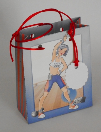 Get Fit Dudess Purple Mini Gift Bag by Joan Prince