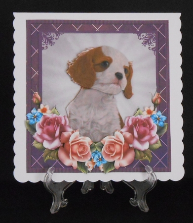 Cavalier with Summer Roses 8x8 Mini Kit by Joan Prince