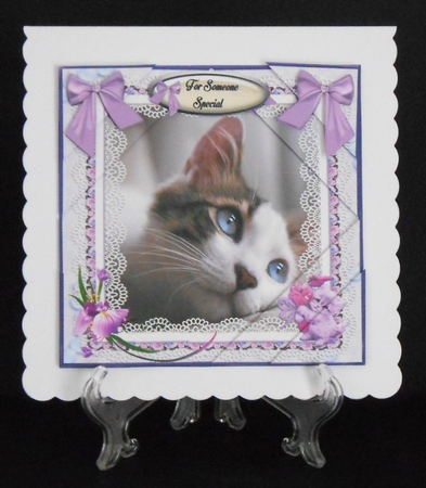Peacefull Kitty Mini Kit by Joan Prince