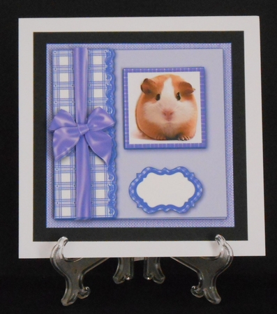Blue Gingham Guinea Pig - 7 x 7 Card Topper With Decoupage by Joan Prince