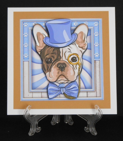 Pawsome! by Joan Prince