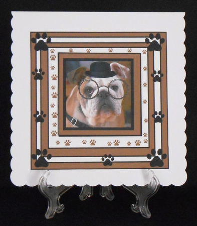 bulldog breed by Joan Prince