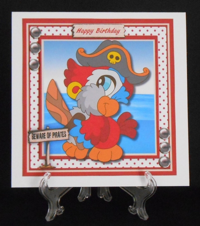Beware of the Parrot Pirate  by Joan Prince
