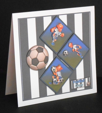 Football Crazy by Joan Prince