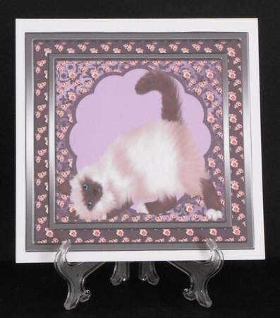 Sweet Little Cleo by Joan Prince