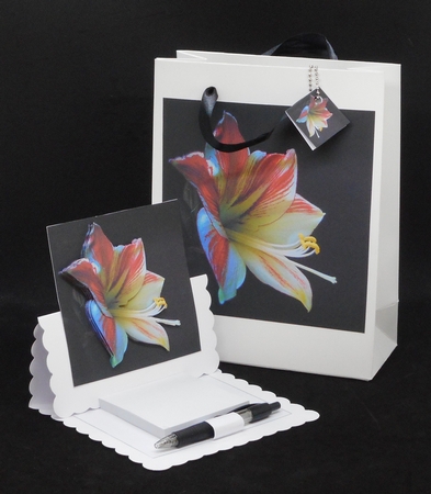 Winter - Amerillys - Decoupage + Insert & Tag by Joan Prince